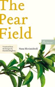 Cover image for The Pear Field by Nana Ekvtimishvili