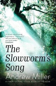 Cover image for The Slowworm's Song by Andrew Miller