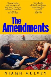 Cover image for The Amendments by Niamh Mulvey