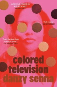Coer iumage for Colored Television by Danzy Senna