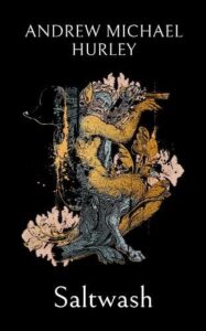 Cover image for Saltwash by Andrew Michael Hurley