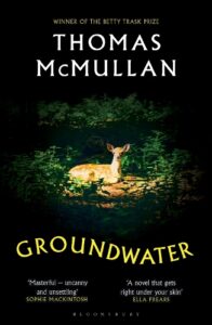 Cover image for Groundwater by Thomas McMullan
